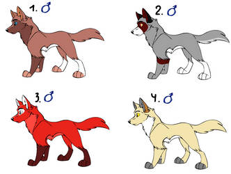 Wolves adoptable [CLOSED]