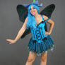 Blue Bell Fairy 5