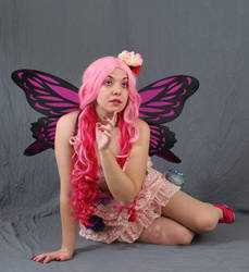 Rose Fairy (11)