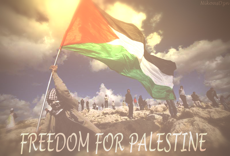 Freedom for palestine