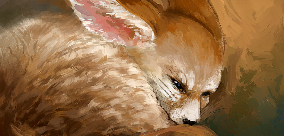 Fennec Fox