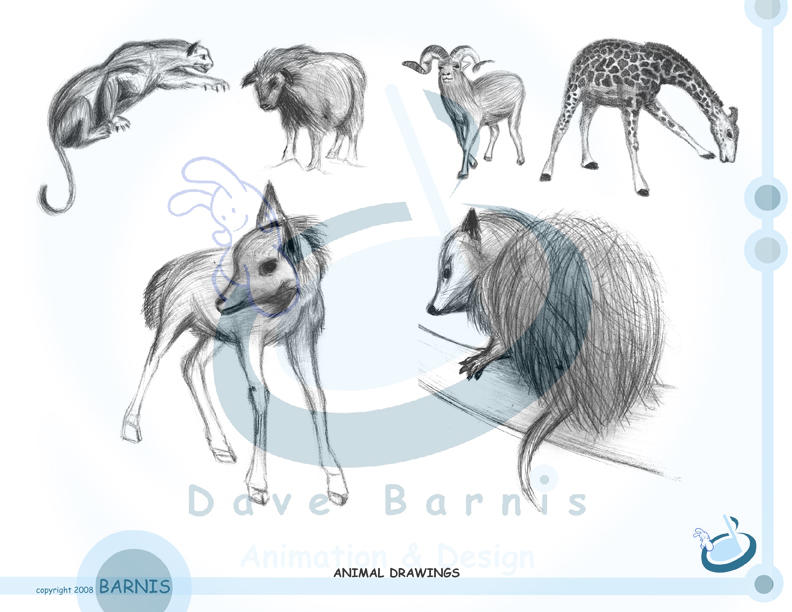 All Animals Deviantart all ANIMALS here by dbtoons86 on DeviantArt