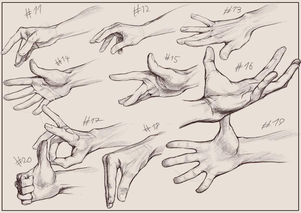 Hand Drawn Example Hand studies pt.2 by Yorollimor on DeviantArt