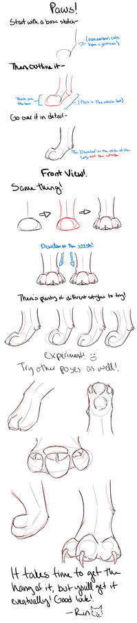 Quick Paws tutorial