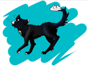 Ravenpaw (warrior cats) by vwolf5 on DeviantArt