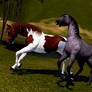 Sims 3 Horses playing around