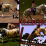 Sims 3 Horse Allegria