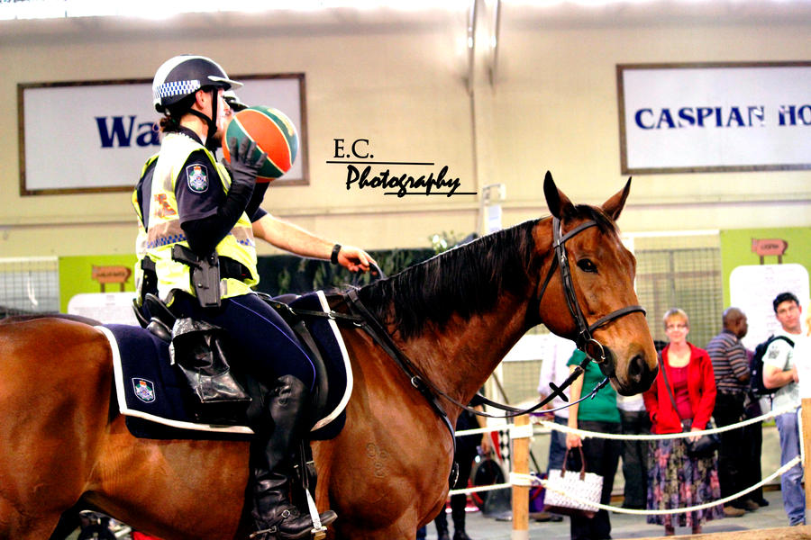 Horseback Police Ekka