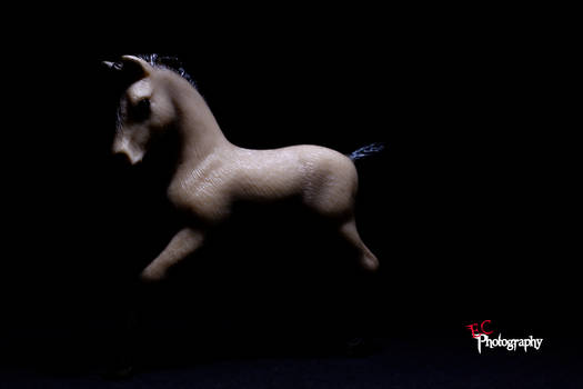 Schleich foal