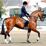 Brisbane Royal Show