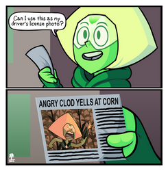 Corn on the clod