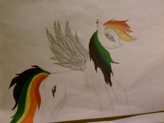 Rainbow dash