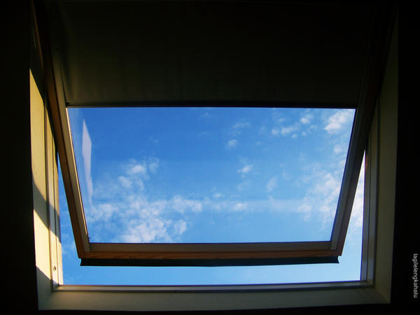 a window to sky .