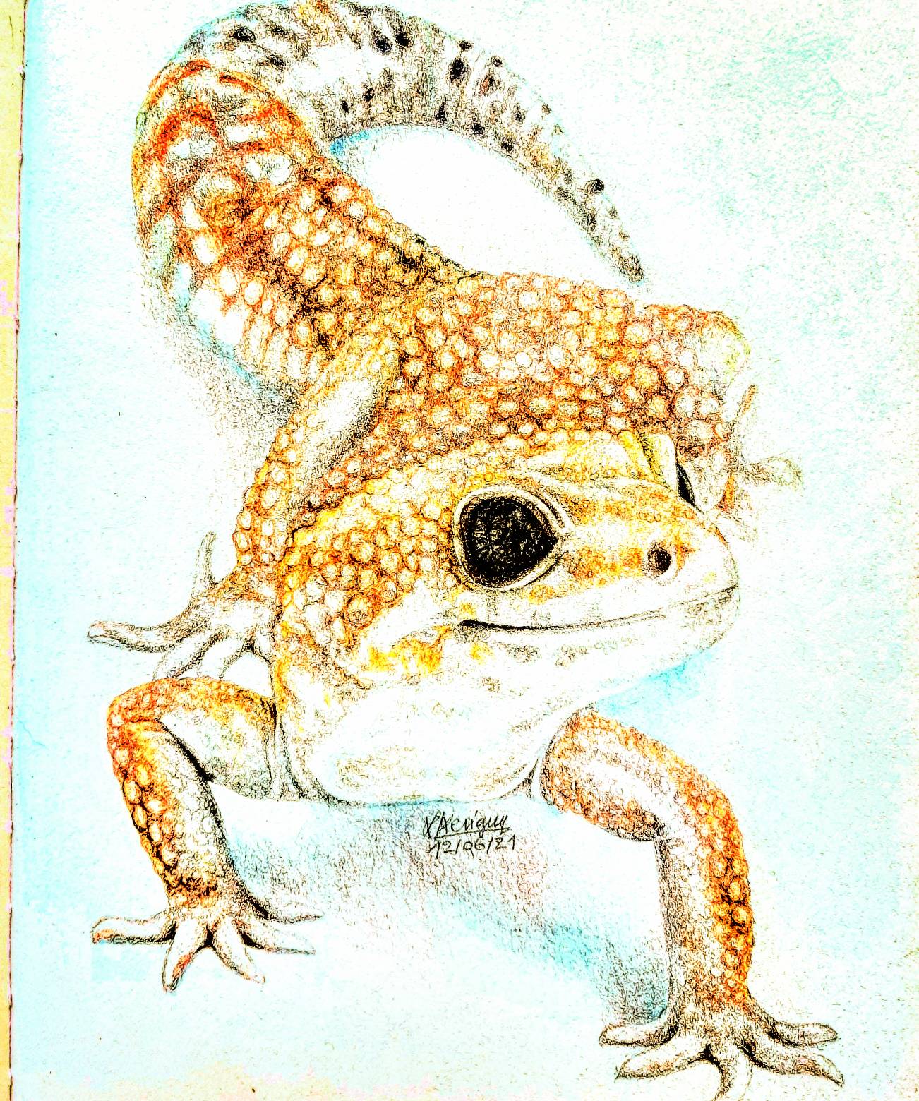 Gecko Deviantart Gecko by LaurenceKeriguy on DeviantArt