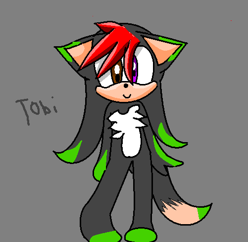 Tobi the Hedgehog+fox+Echidna