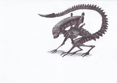 XENOMORPH