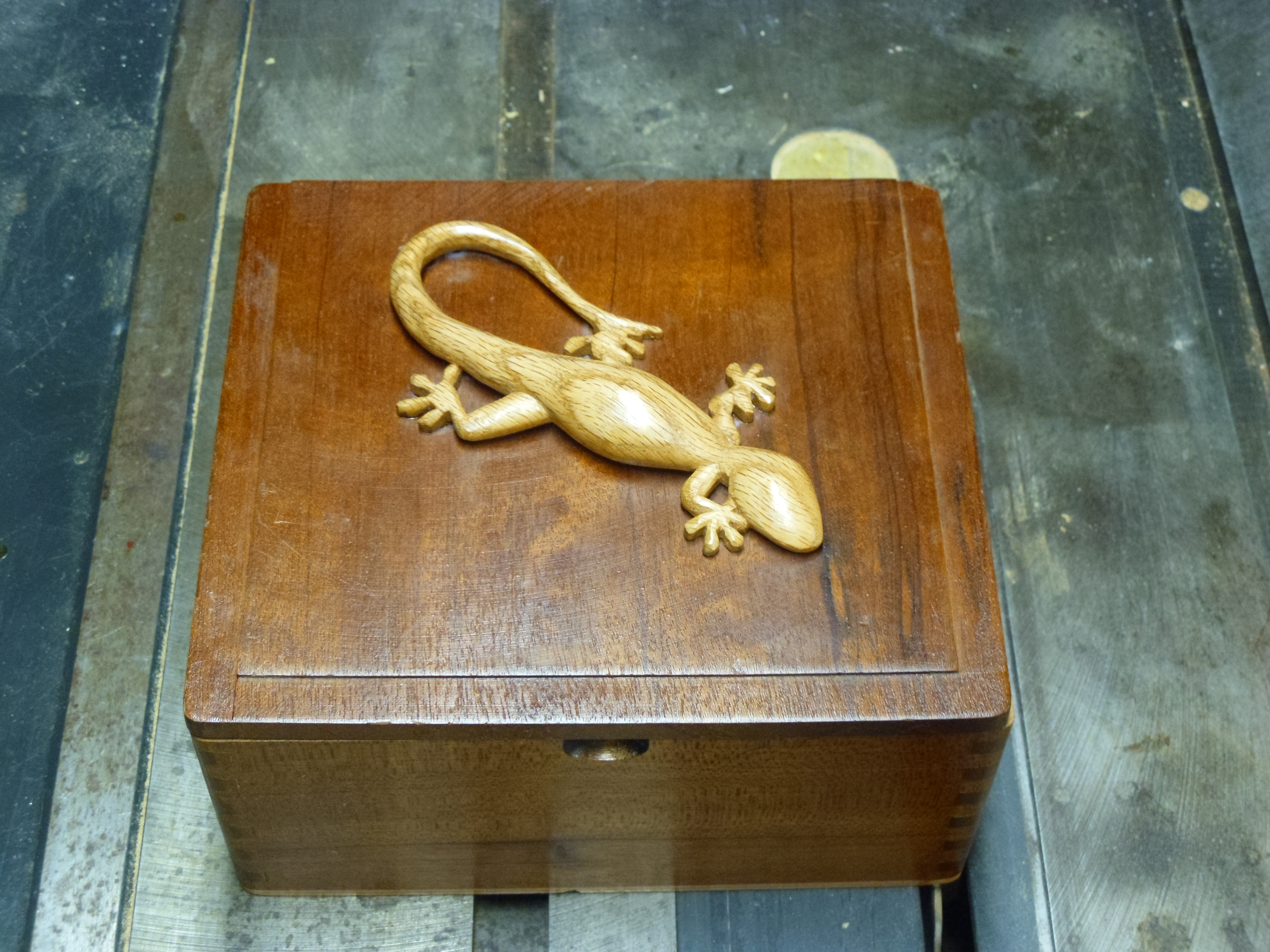 lizard on a box