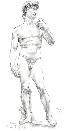 AFTER MICHELANGELO THE DAVID