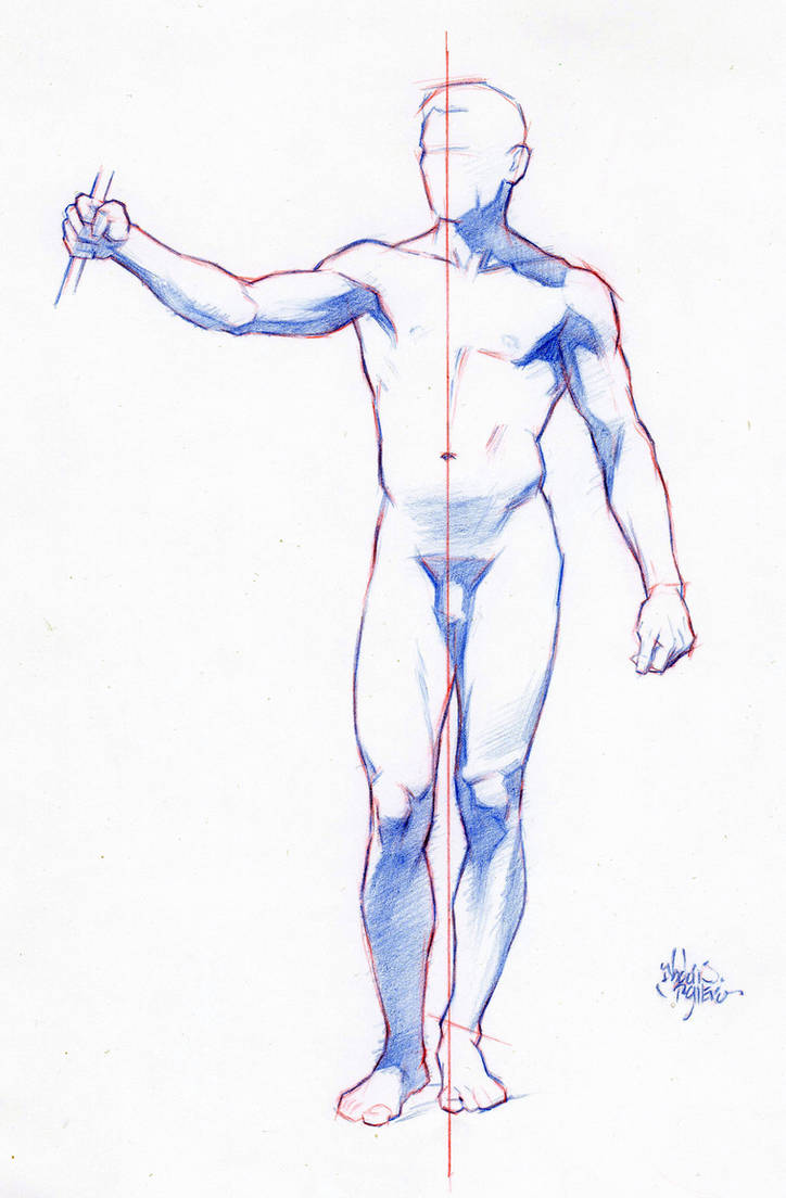 Покажи рисунки тела человека. Человек рисунок. Тело для рисования. Тело человека для рисования. Зарисовки тела.