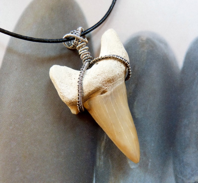 Shark tooth pendant