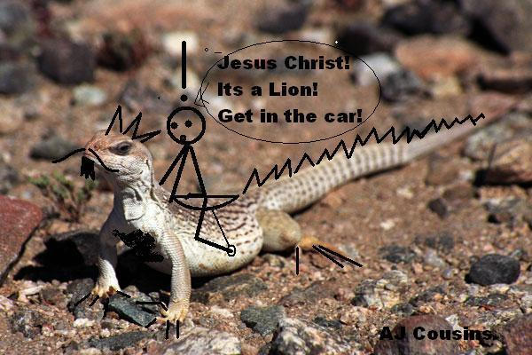 Modified Lizard Picture by MaVeRiCkZeRo15 on DeviantArt