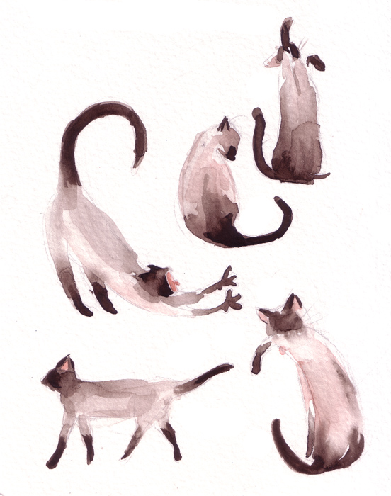 Watercolor cats