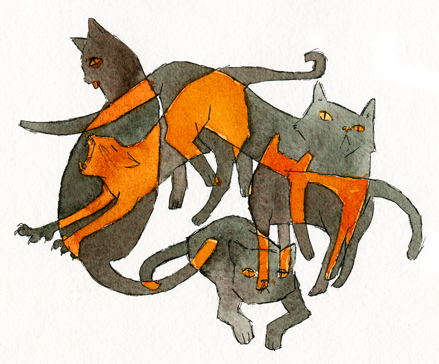 Abstract Cats