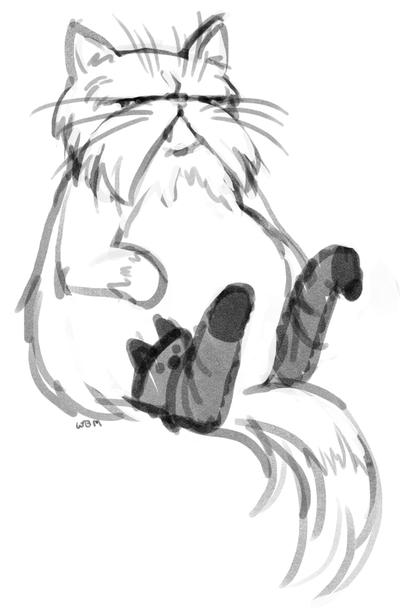Cat in Kneesocks by matildarose