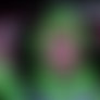 Desiree Kiss Pov