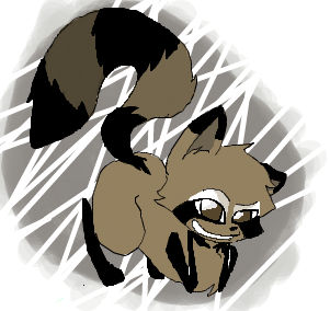 Racoon Zee by bannaray4 on DeviantArt