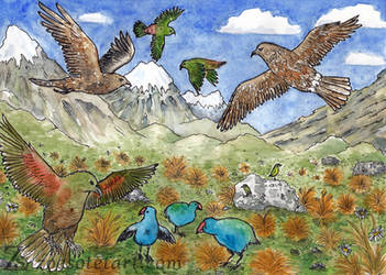 Mountain Birds
