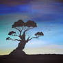 Wide open spaces