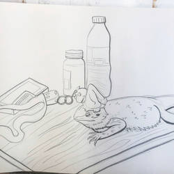 Bearded Dragon Still Life