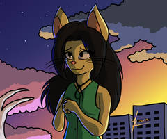Kit at the sunset
