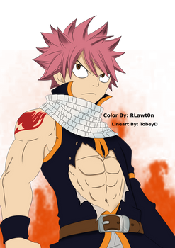 Natsu Dragneel~ Flames