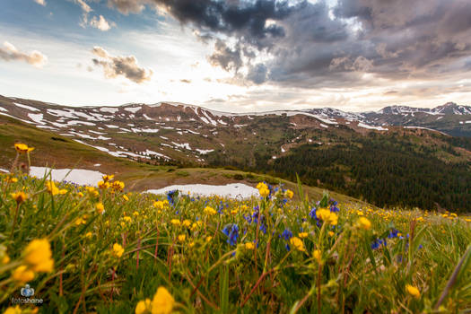 Sumco sunset