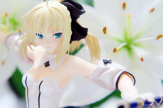 Saber and Lily