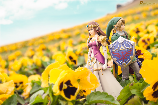 Hyrule Field