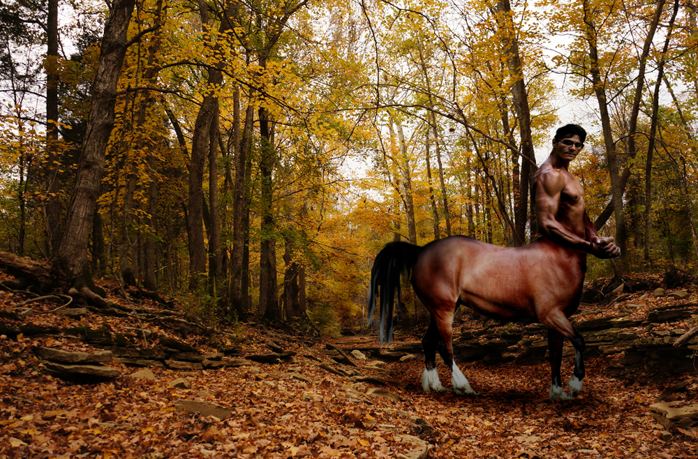 Autumn Centaur