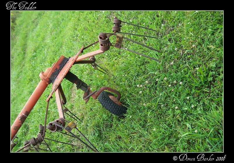Tedder Graphics The Tedder by FlyGalDoreen on DeviantArt