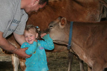 Calf Kisses