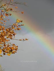 autumn and rainbow 2