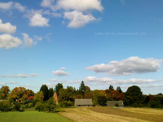 colours of autumn