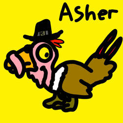 Asher the Thanksgiving falcatakely