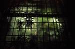 Greenhouse at night
