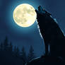 Werewolf howling at the moon