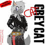 Greycat_CAT