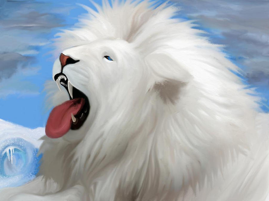 Icelann  the lion  yawning