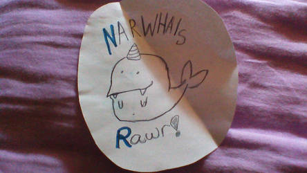 Narwhals rawr