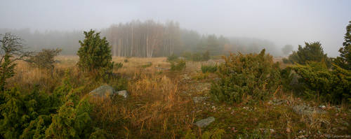 Fog in Hanhisto